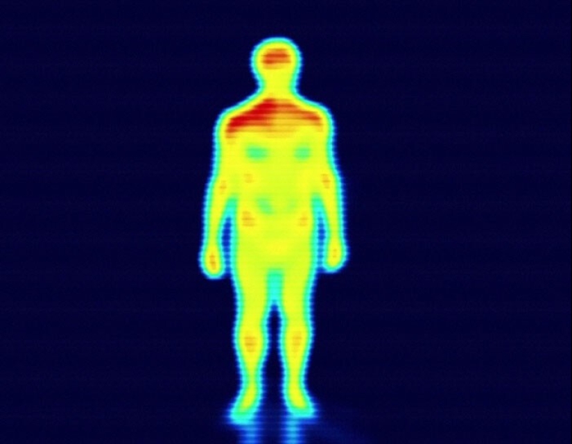 30 hechos asombrosos que harán volar tu cerebro!