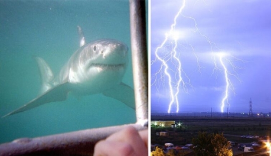 30 hechos asombrosos que harán volar tu cerebro! 30 hechos asombrosos que harán volar tu cerebro!