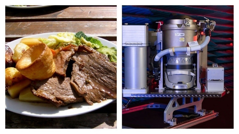 30 hechos inesperados que te sorprenderán hasta la médula 30 hechos inesperados que te sorprenderán hasta la médula