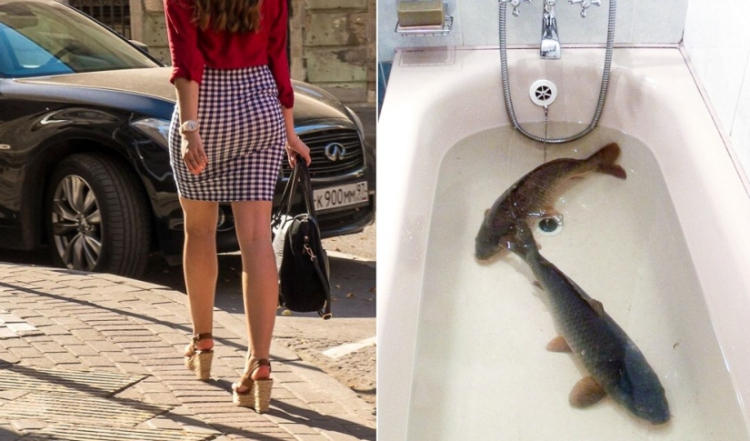 30 hechos inusuales sobre diferentes países que le parecerán salvajes