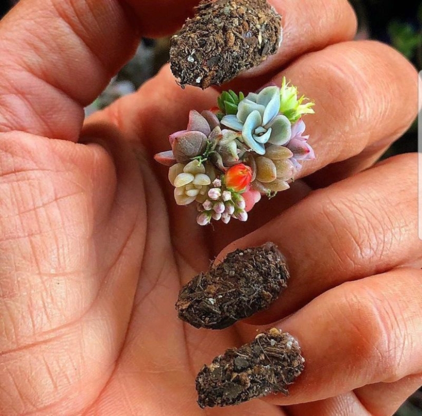 30 increíblemente raro y bruto invenciones cuyos autores eran claramente no a ti mismo 30 increíblemente raro y bruto invenciones cuyos autores eran claramente no a ti mismo