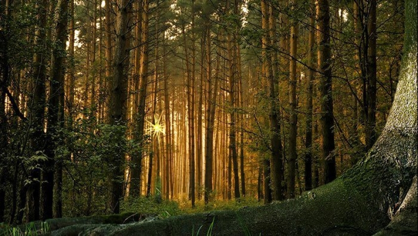 30 increíbles hechos que a primera vista parece absurdo 30 increíbles hechos que a primera vista parece absurdo