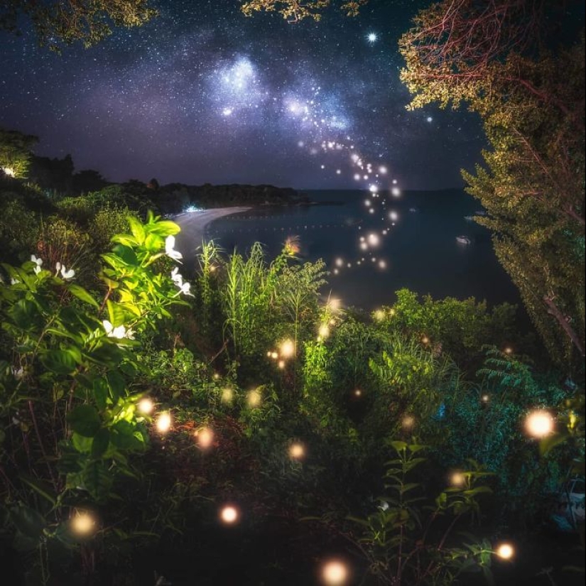 30 incredible photos of the night sky by photographer Alex Frost 30 incredible photos of the night sky by photographer Alex Frost