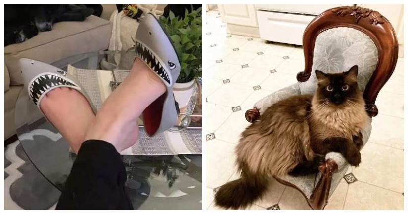 30 incredibly successful purchases at a thrift store 30 incredibly successful purchases at a thrift store