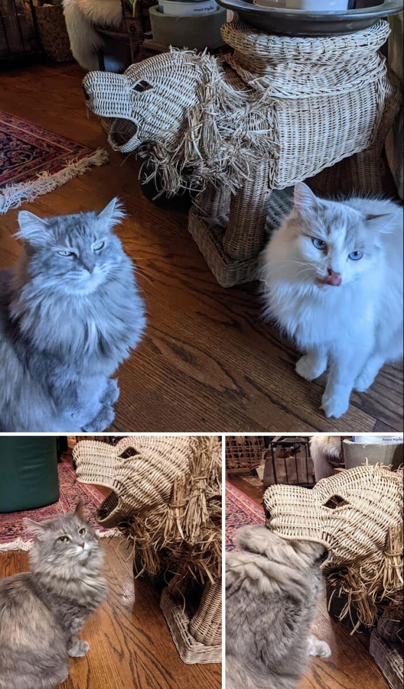 30 incredibly successful purchases at a thrift store 30 incredibly successful purchases at a thrift store