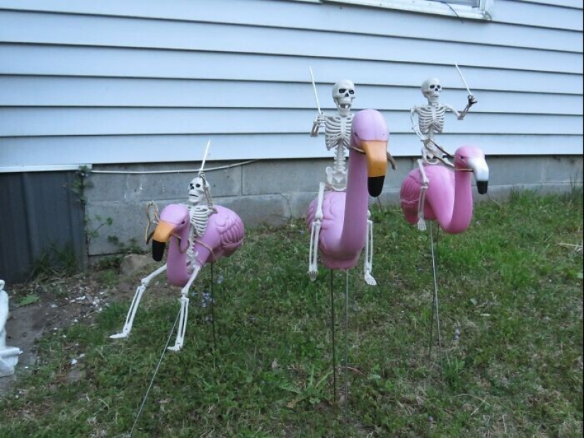 30 incredibly successful purchases at a thrift store 30 incredibly successful purchases at a thrift store