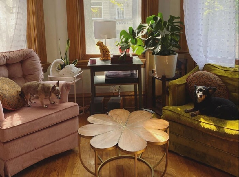 30 incredibly successful purchases at a thrift store 30 incredibly successful purchases at a thrift store