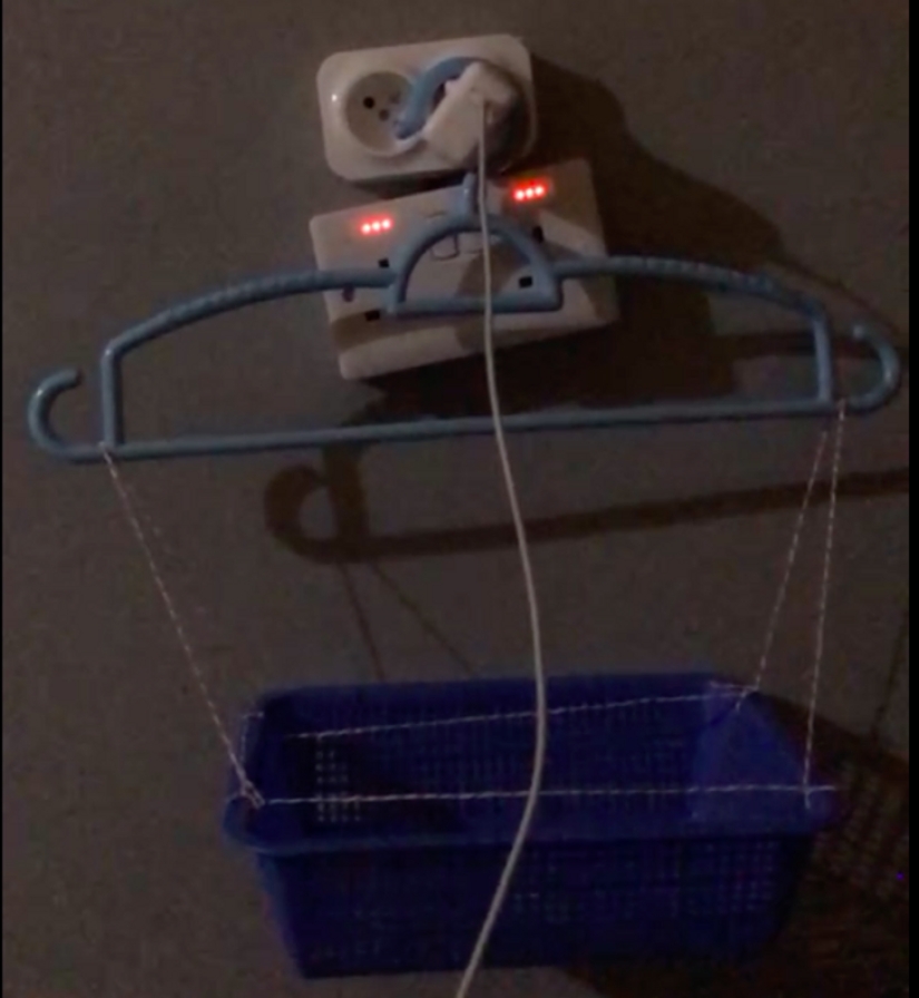 30 interesting photos of different differences that arouse interest 30 interesting photos of different differences that arouse interest