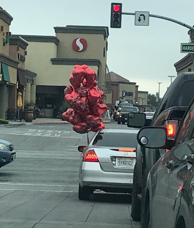 30 interesting photos of different differences that arouse interest 30 interesting photos of different differences that arouse interest