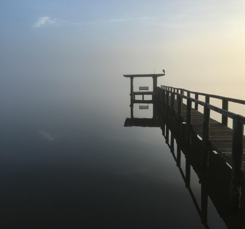 30 interesting photos of different differences that arouse interest 30 interesting photos of different differences that arouse interest