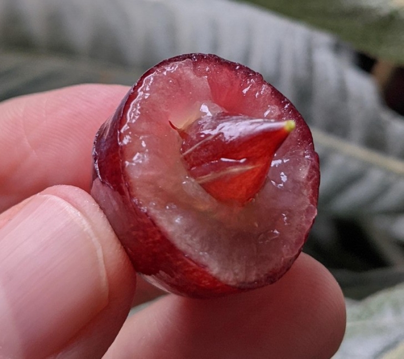 30 interesting photos of different differences that arouse interest 30 interesting photos of different differences that arouse interest