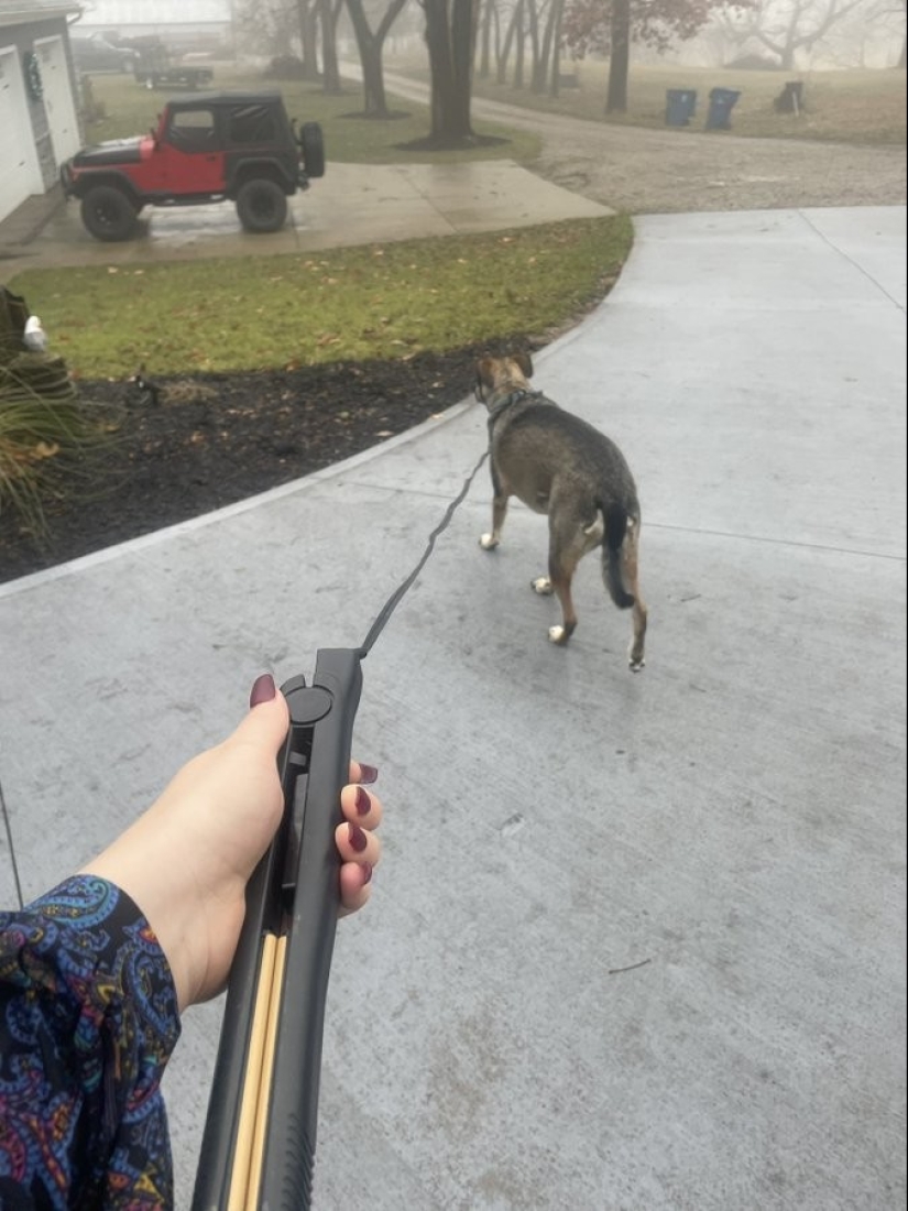 30 interesting photos of different differences that arouse interest 30 interesting photos of different differences that arouse interest