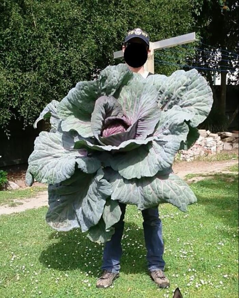 30 la gente afortunada que ganó el premio mayor en la comida de la lotería