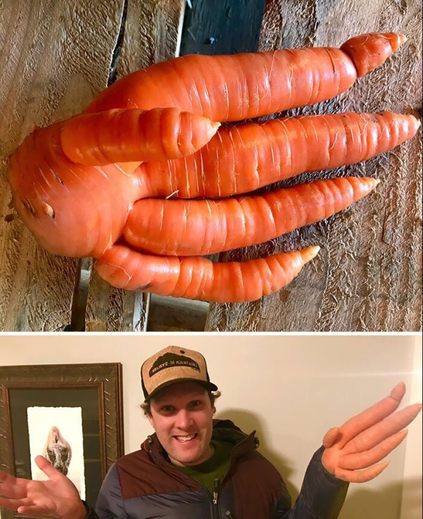 30 la gente afortunada que ganó el premio mayor en la comida de la lotería