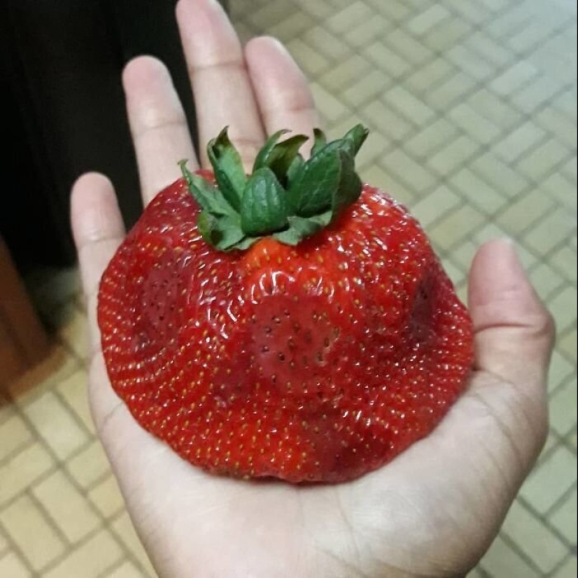 30 la gente afortunada que ganó el premio mayor en la comida de la lotería