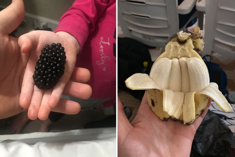 30 lucky people who won the jackpot in the food lottery