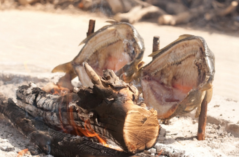 30 main national dishes from different countries of the world