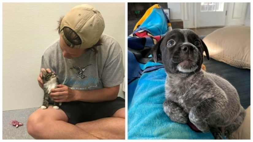 30 Mascotas que recientemente han encontrado un nuevo hogar y amar a los propietarios de