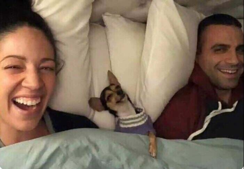 30 Mascotas que recientemente han encontrado un nuevo hogar y amar a los propietarios de