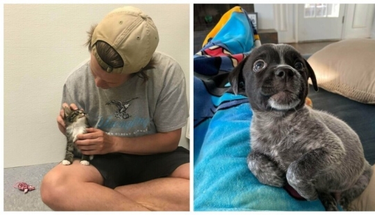 30 Mascotas que recientemente han encontrado un nuevo hogar y amar a los propietarios de 30 Mascotas que recientemente han encontrado un nuevo hogar y amar a los propietarios de