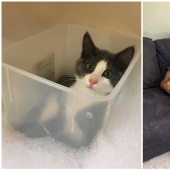 30 occasions when the owners trained Pets, weird habits, without even knowing it