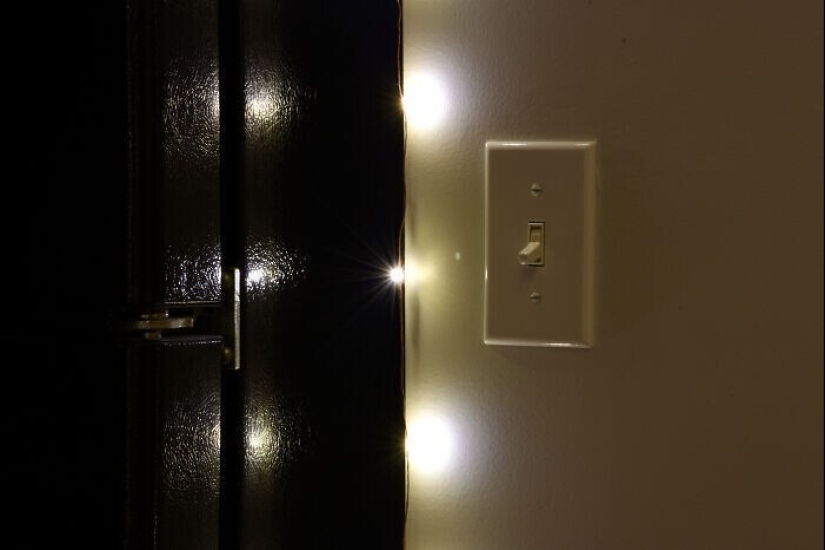 30 occasions when the owners trained Pets, weird habits, without even knowing it 30 occasions when the owners trained Pets, weird habits, without even knowing it