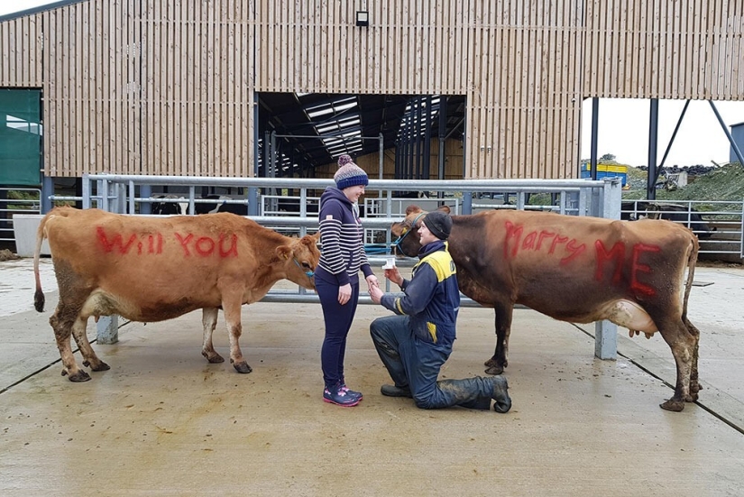 30 of the craziest and most creative marriage proposals