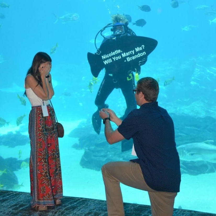 30 of the craziest and most creative marriage proposals