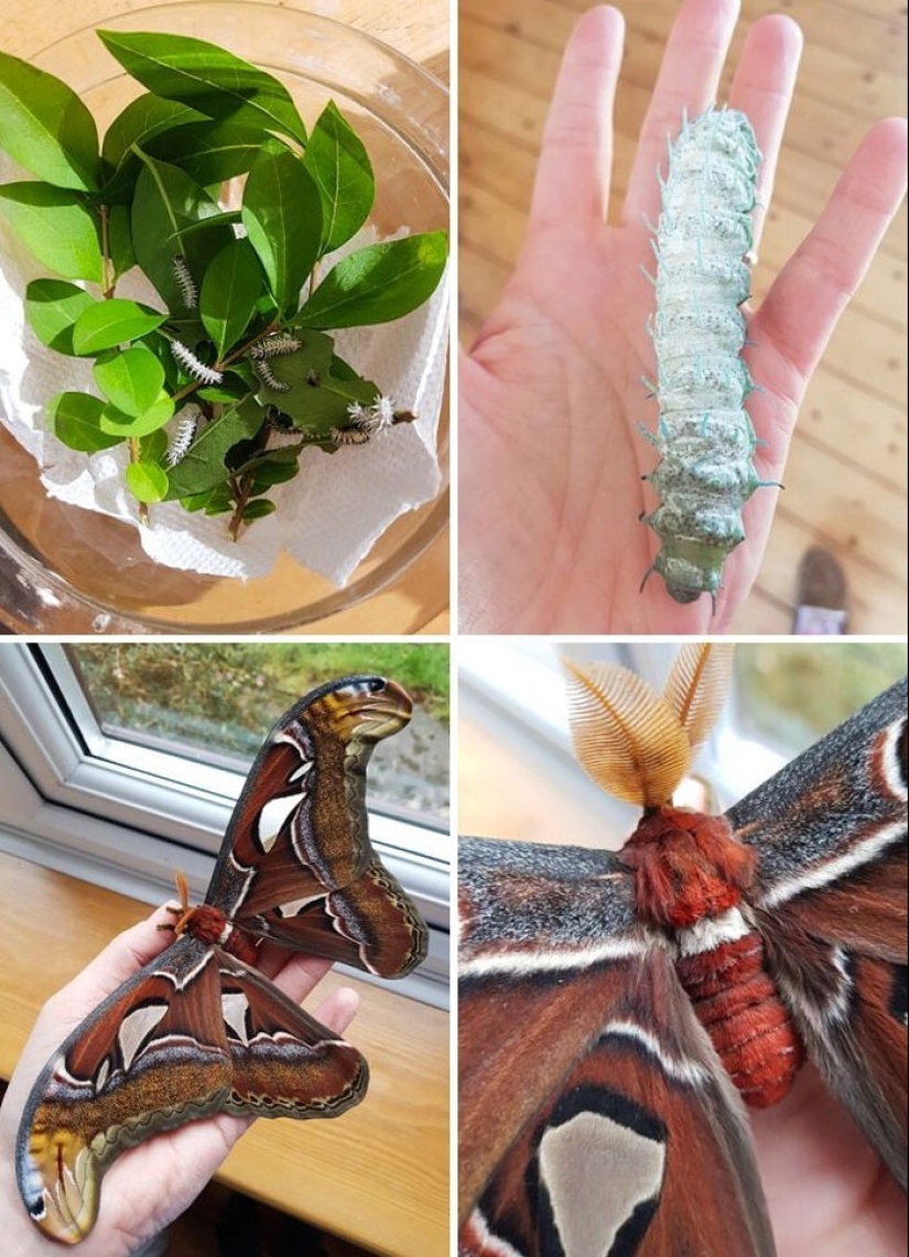 30 people who chose an unusual hobby and carried away no joke 30 people who chose an unusual hobby and carried away no joke