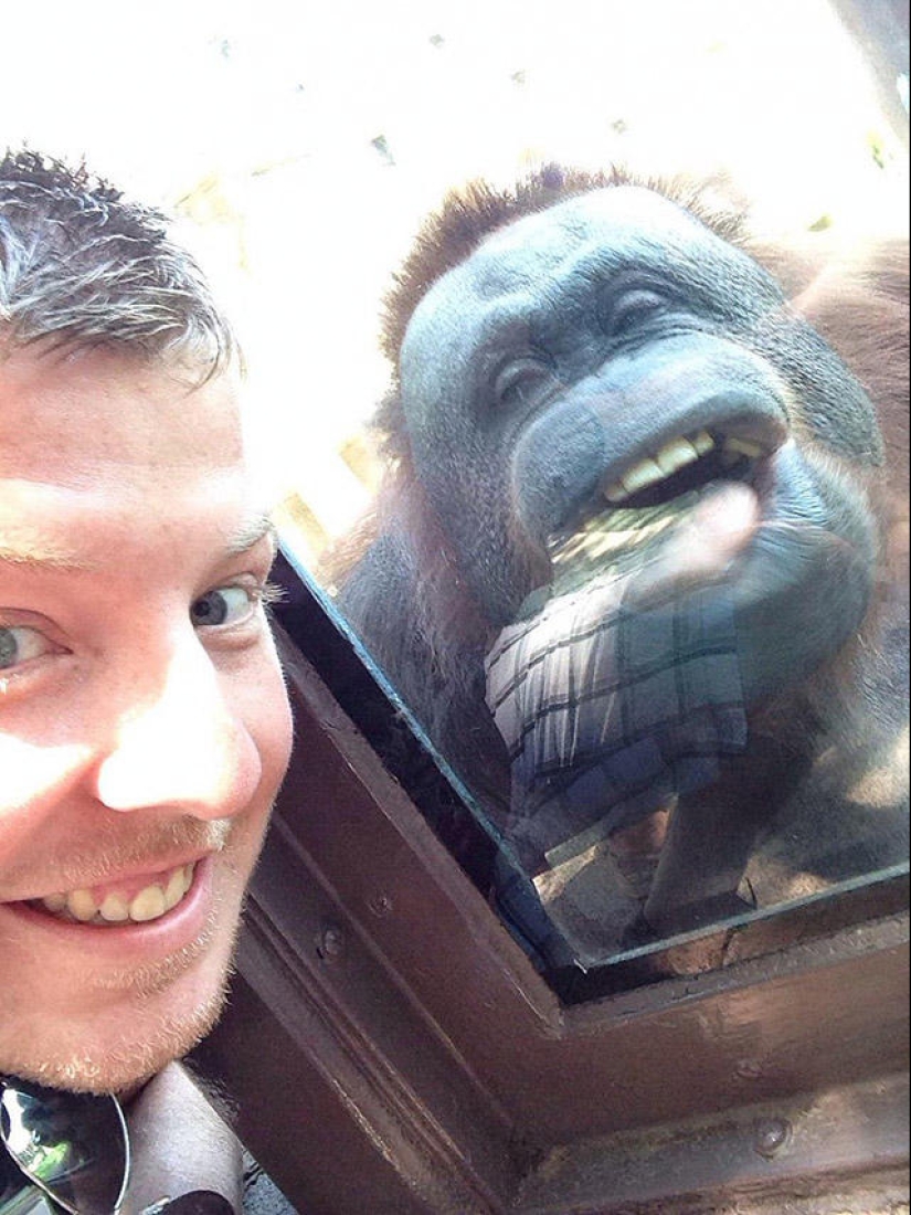 30 people who found friends at the zoo 30 people who found friends at the zoo