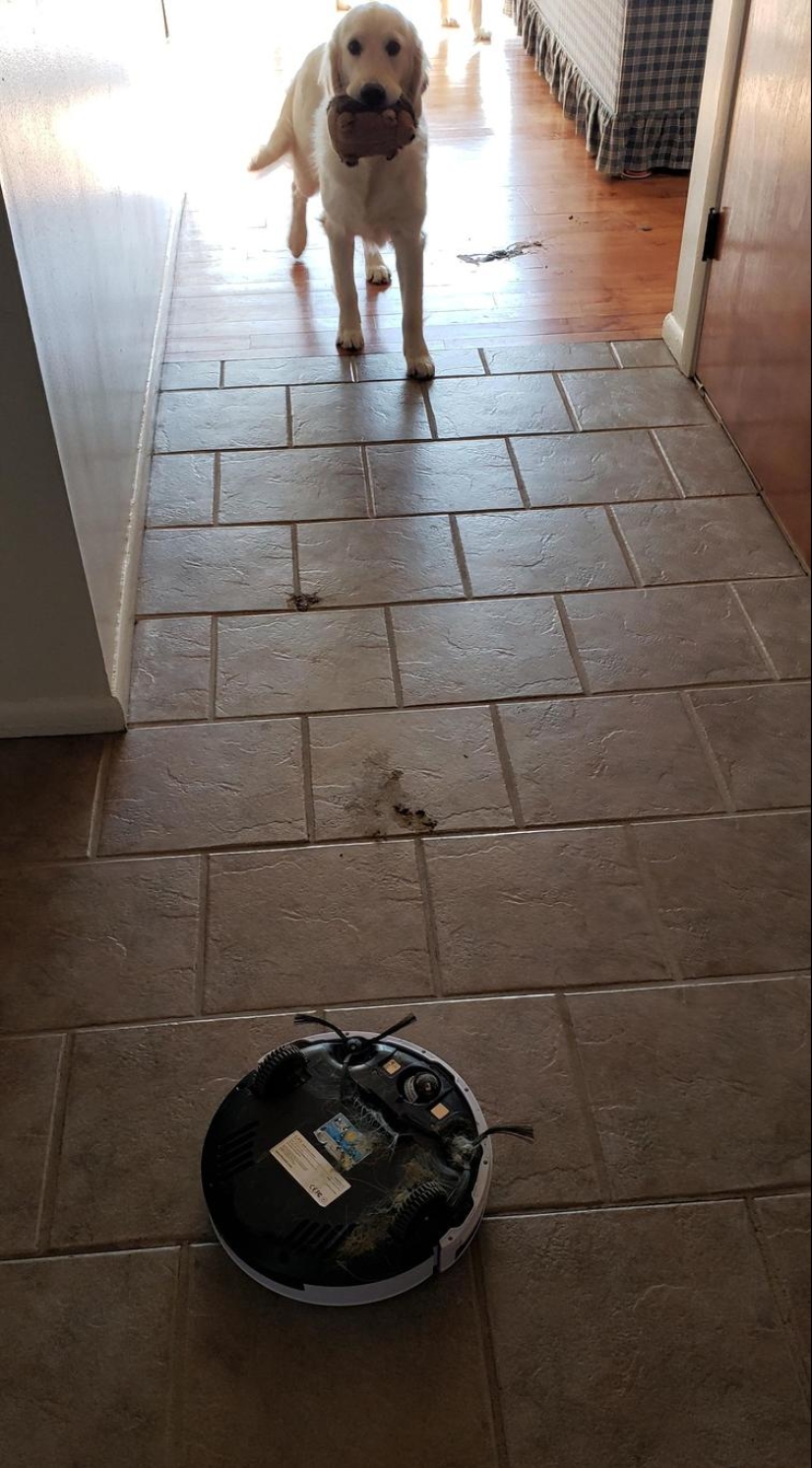 30 people who have had such a bad day that he is unlikely to get any worse 30 people who have had such a bad day that he is unlikely to get any worse