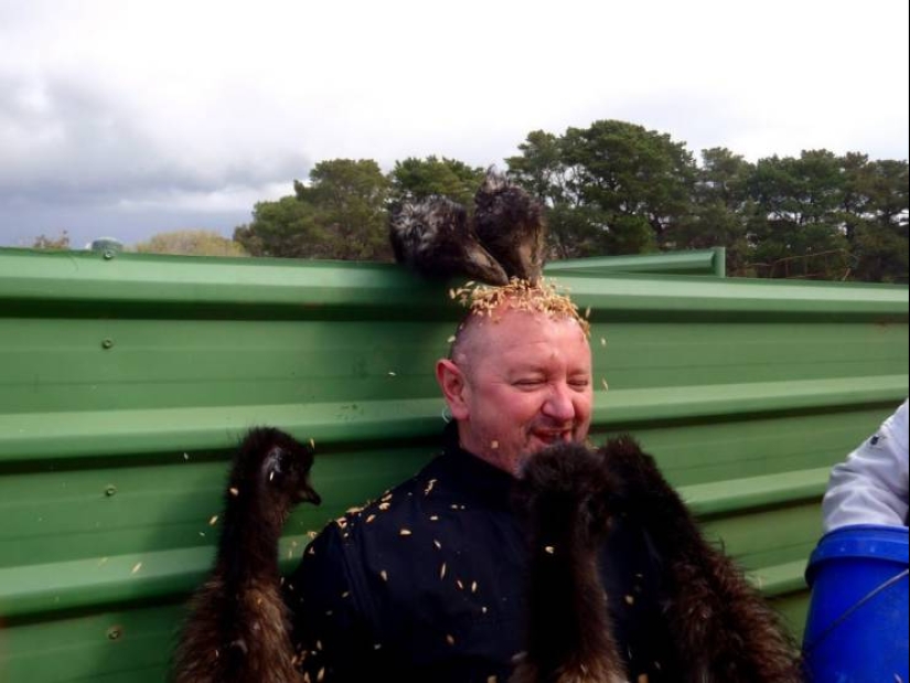 30 people whose behavior cannot be explained logically 30 people whose behavior cannot be explained logically