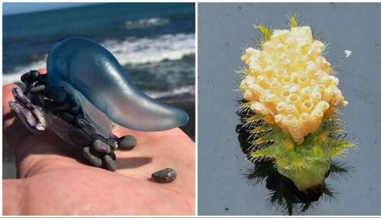 30 perplexed people who found the answer to their question on the Internet 30 perplexed people who found the answer to their question on the Internet