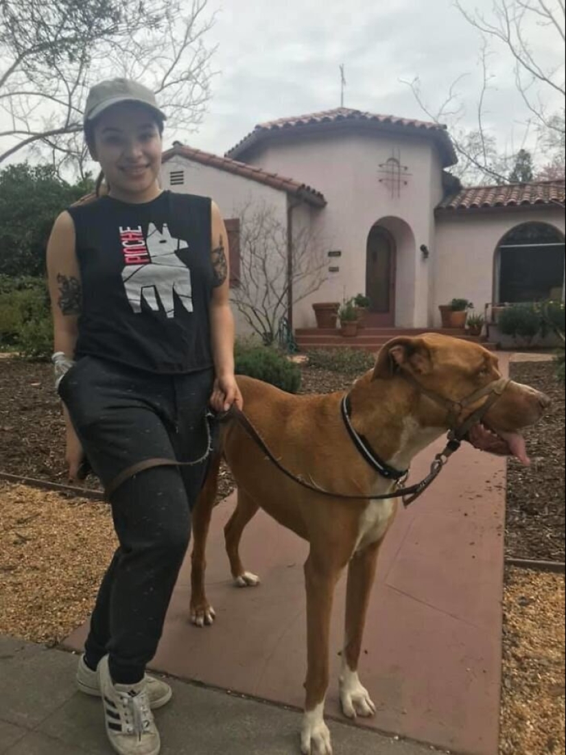 30 perros de raza pura que realmente sorprendieron a sus dueños cuando crecieron 30 perros de raza pura que realmente sorprendieron a sus dueños cuando crecieron