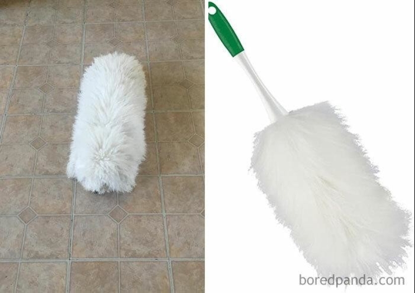 30 perros que parecen otra cosa 30 perros que parecen otra cosa