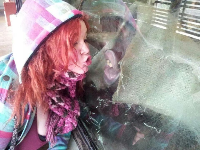 30 personas que escatimaron en un salón de belleza y se arrepintieron