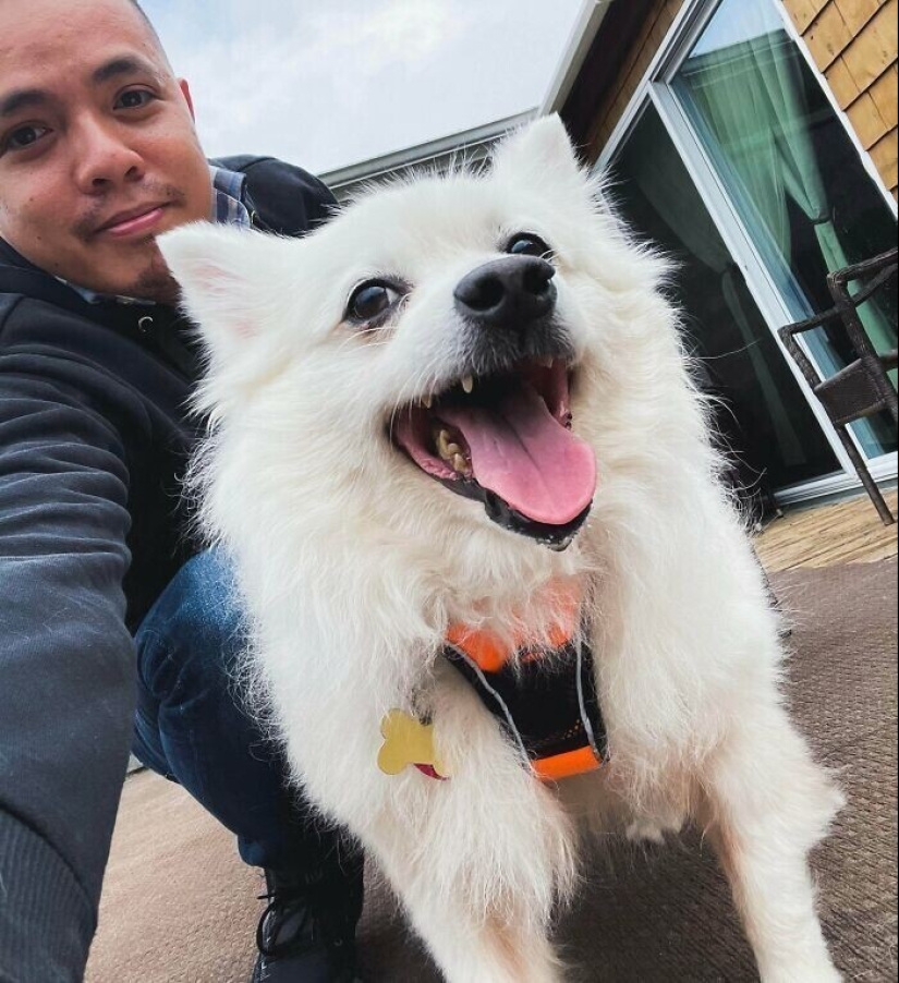 30 Pets that have recently found a new home and loving owners 30 Pets that have recently found a new home and loving owners