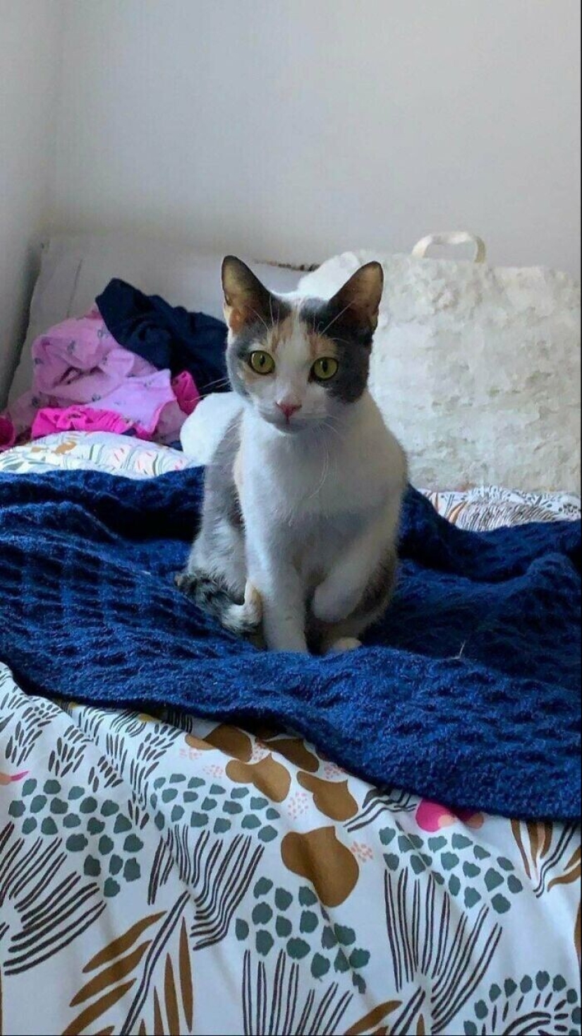 30 Pets that have recently found a new home and loving owners 30 Pets that have recently found a new home and loving owners