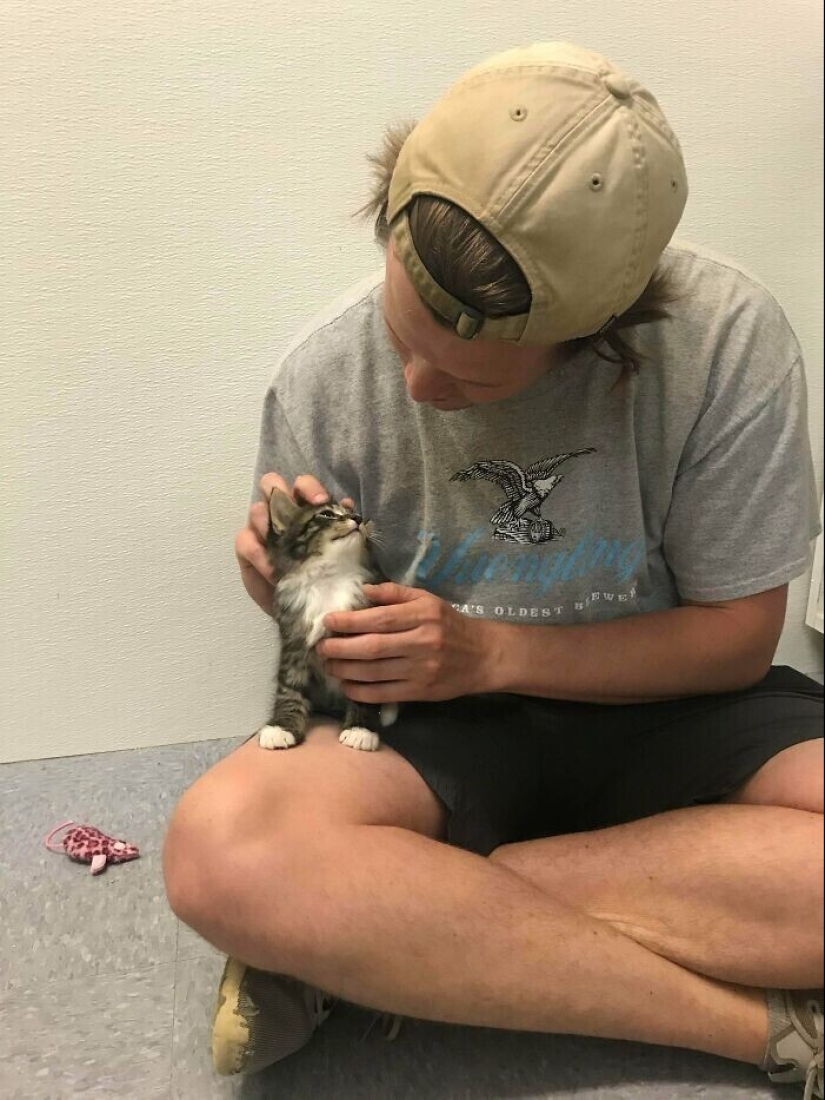 30 Pets that have recently found a new home and loving owners 30 Pets that have recently found a new home and loving owners