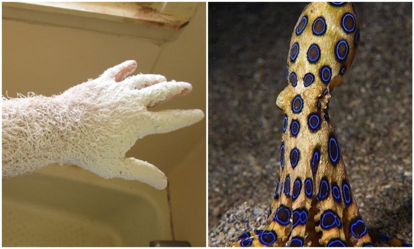 30+ photo evidence of how amazing and diverse our world is 30+ photo evidence of how amazing and diverse our world is