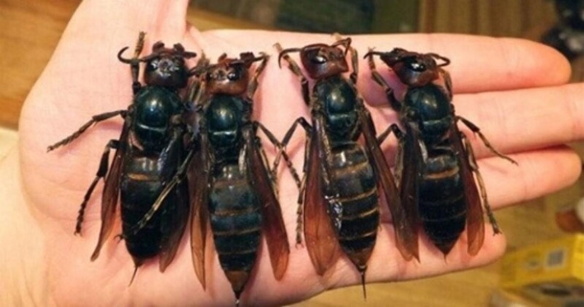 30+ photo evidence of how amazing and diverse our world is 30+ photo evidence of how amazing and diverse our world is