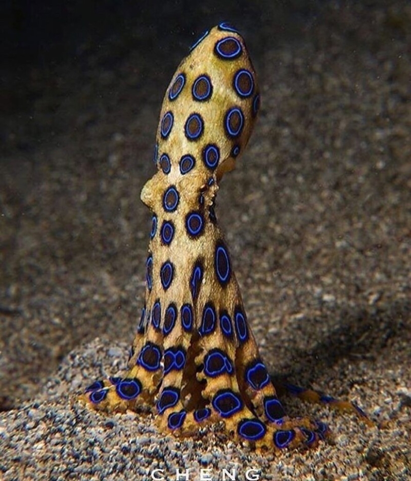 30+ photo evidence of how amazing and diverse our world is 30+ photo evidence of how amazing and diverse our world is