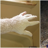 30+ photo evidence of how amazing and diverse our world is