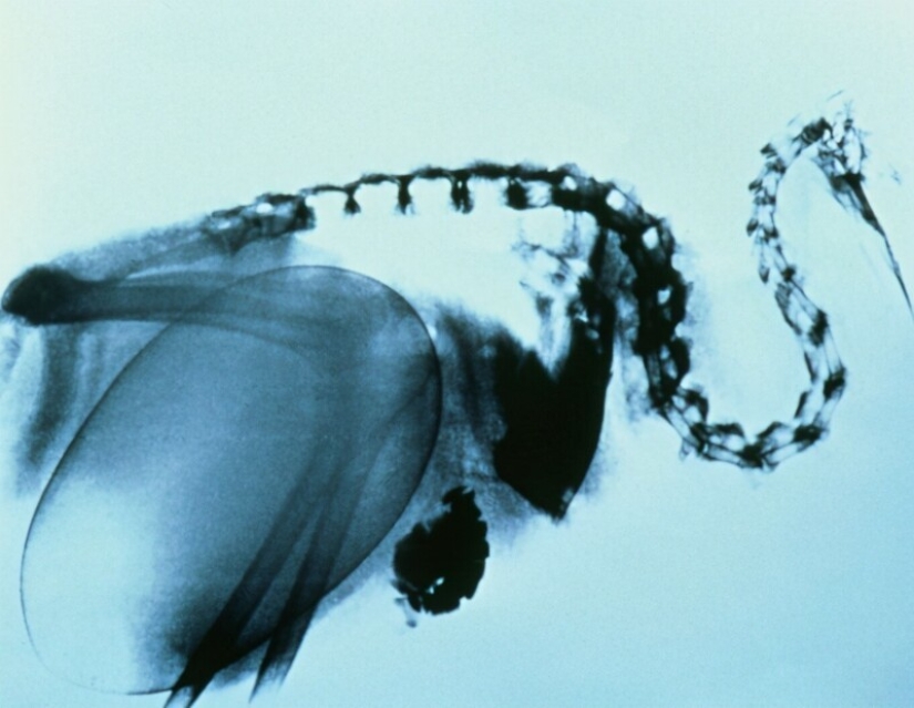 30+ photo evidence of how amazing and diverse our world is 30+ photo evidence of how amazing and diverse our world is