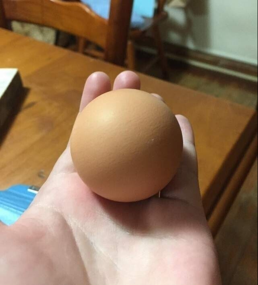 30+ photo evidence of how amazing and diverse our world is 30+ photo evidence of how amazing and diverse our world is