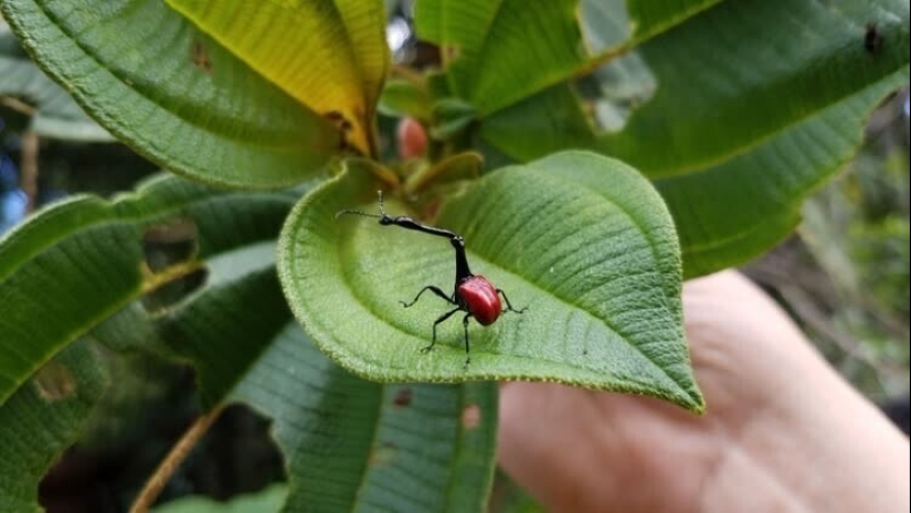 30+ photo evidence of how amazing and diverse our world is 30+ photo evidence of how amazing and diverse our world is