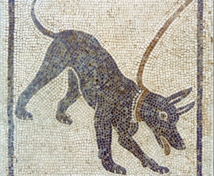 30 Photo Facts from the Weird History Community That Will Change the Way You Look at History