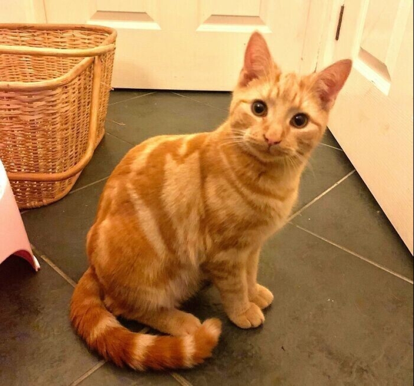 30 photos from the series "Amazing" 30 photos from the series "Amazing"