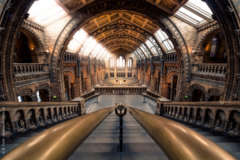 30 photos harmonious with perfect symmetry 30 photos harmonious with perfect symmetry