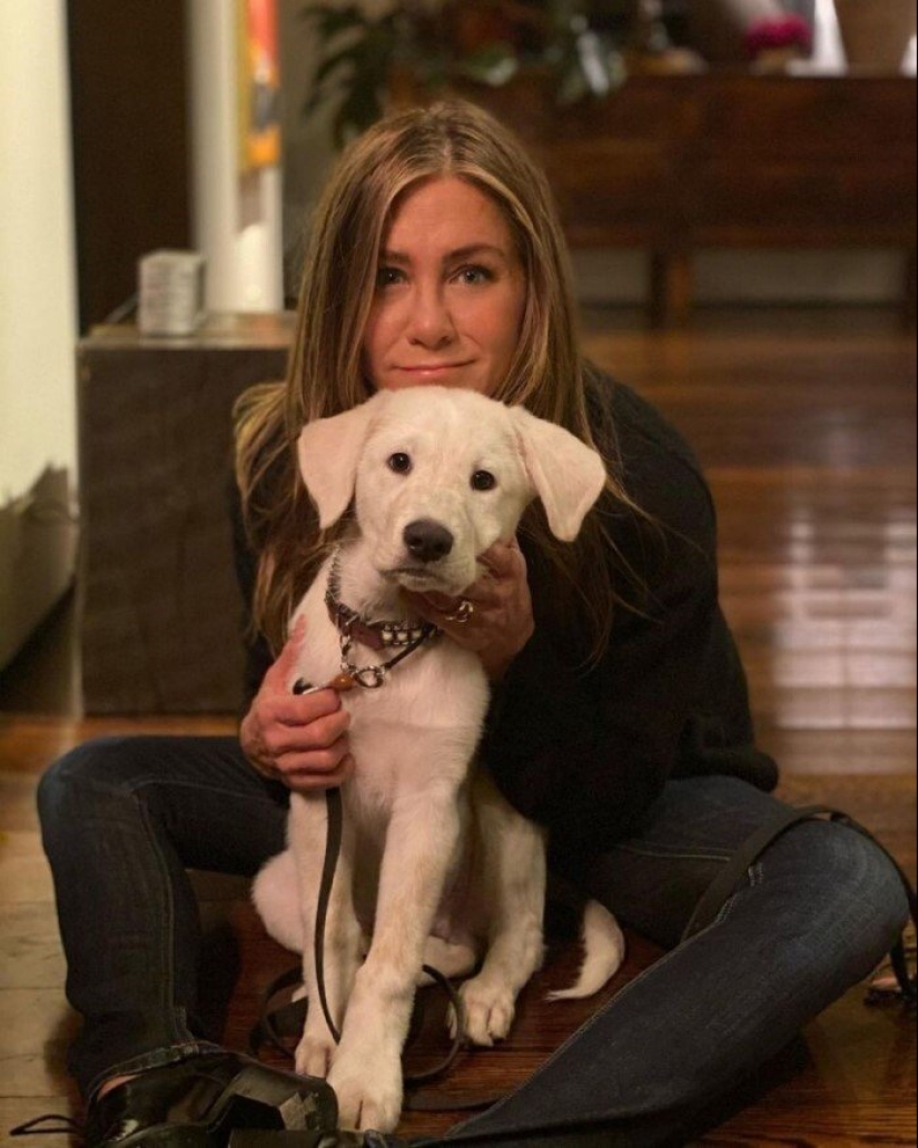 30 photos of celebrities with dogs 30 photos of celebrities with dogs